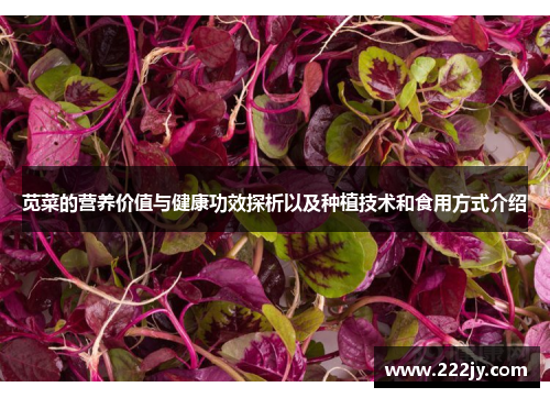 苋菜的营养价值与健康功效探析以及种植技术和食用方式介绍