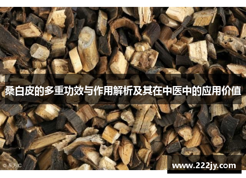 桑白皮的多重功效与作用解析及其在中医中的应用价值