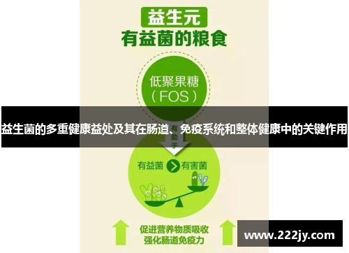 益生菌的多重健康益处及其在肠道、免疫系统和整体健康中的关键作用