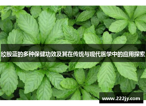绞股蓝的多种保健功效及其在传统与现代医学中的应用探索